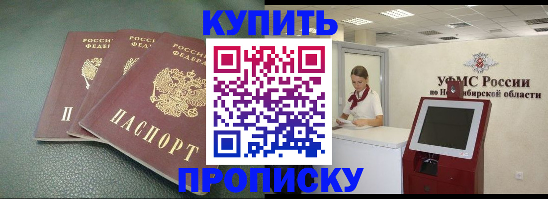 прописка поиск в Дмитрове